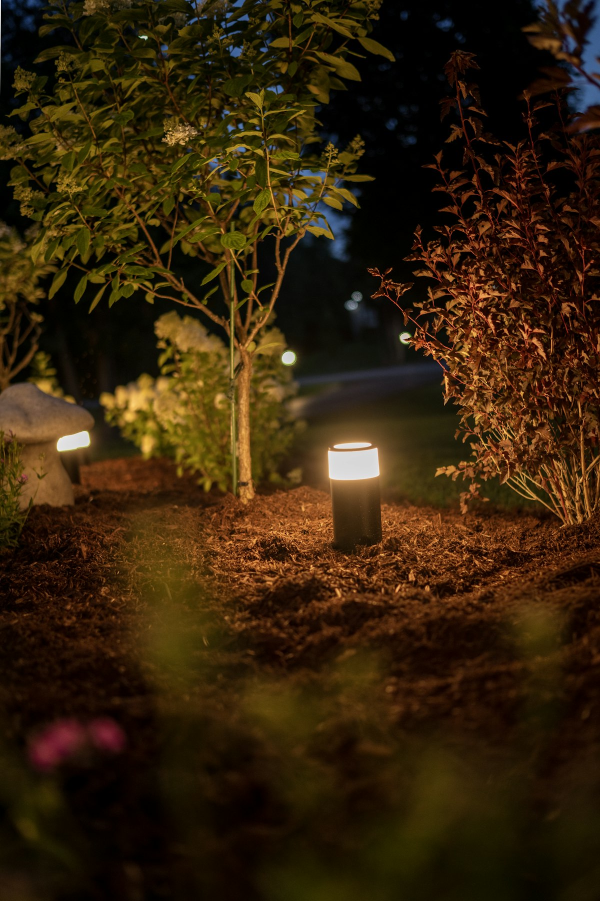 Warm garden lights glowing among trees at night