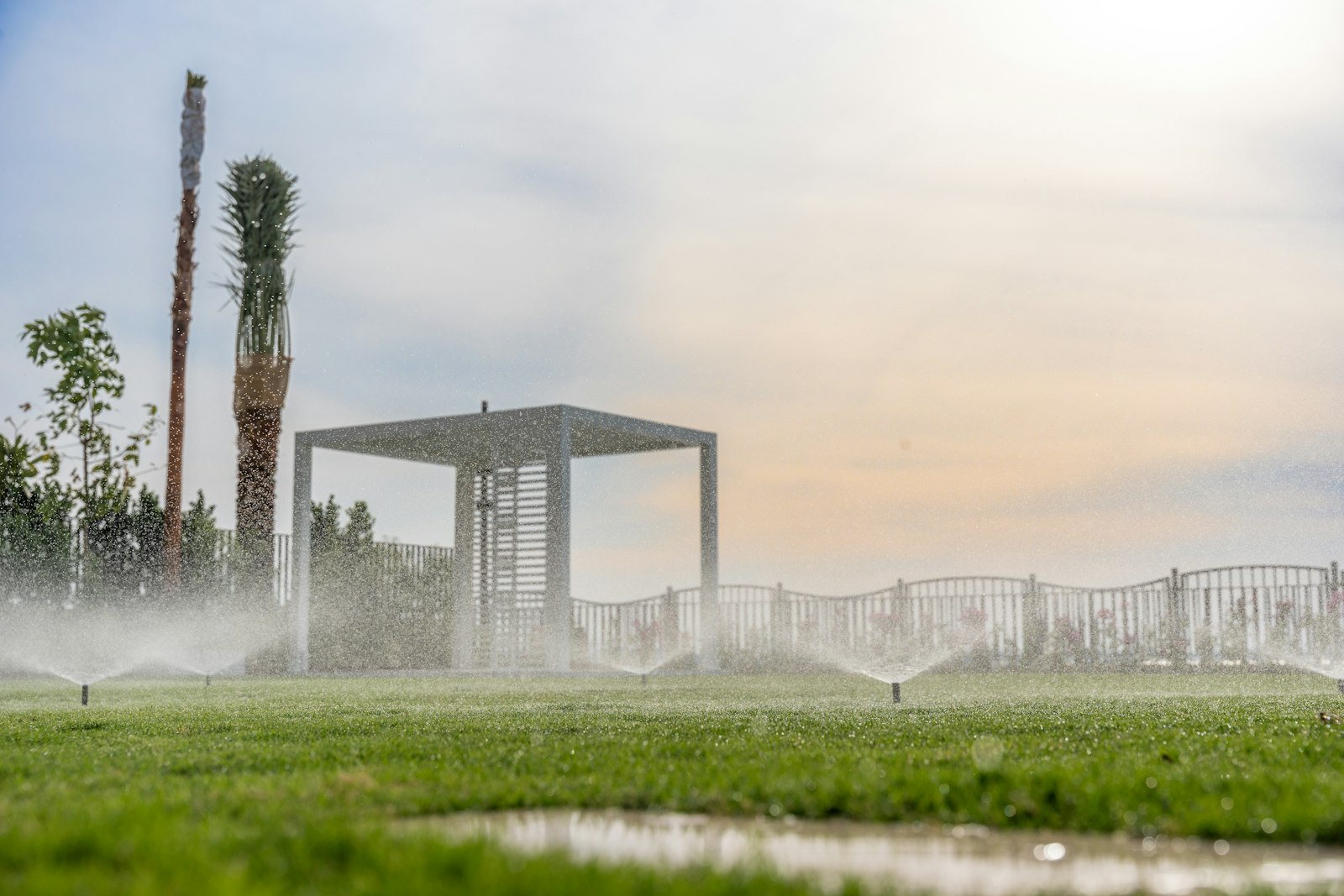 Sprinklers watering a lawn at sunrise
