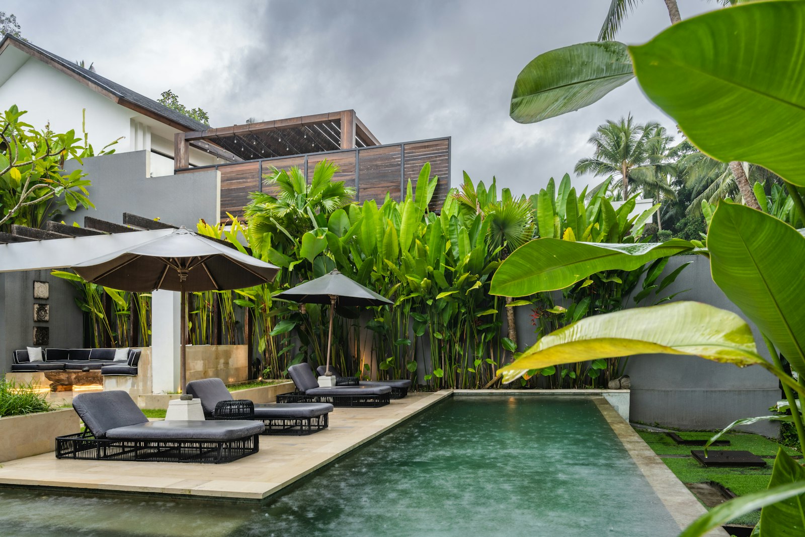 Pool with lounge chairs and tropical planting