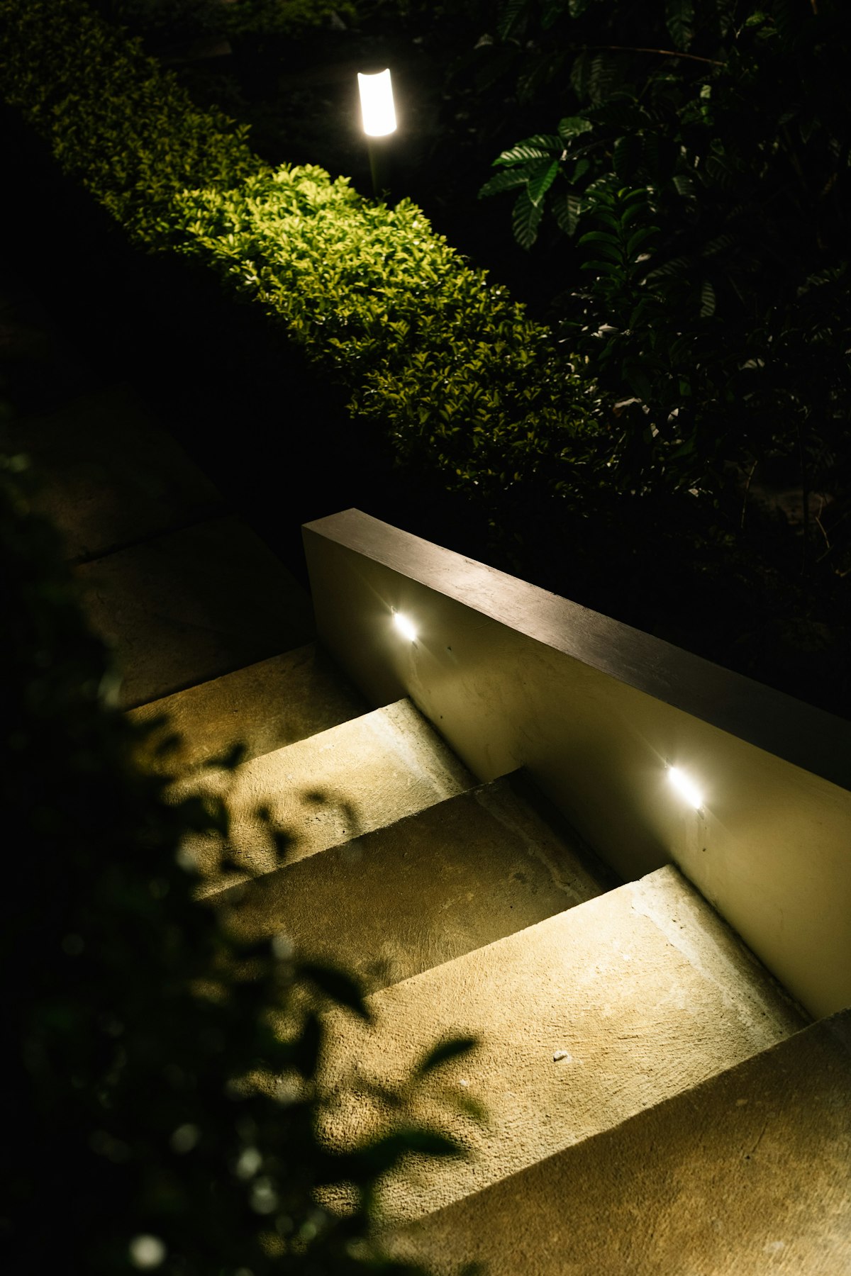 Steps lit by subtle wall lights at night